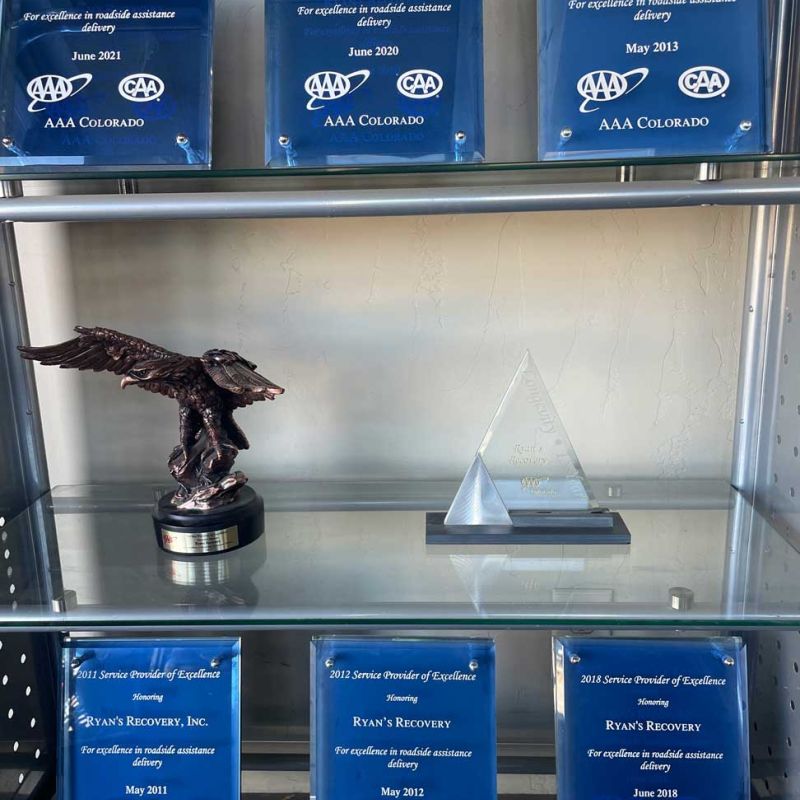 AAA Awards Shelf
